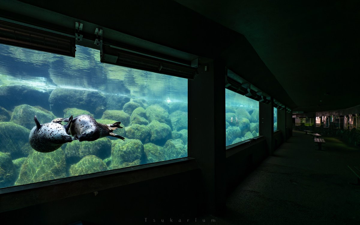 tsukarium's tweet photo. 箱根の山の上にある水族館 https://t.co/fAumYcNtoh
