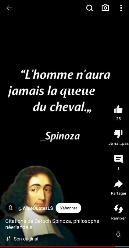 Ah ouais c'est ça il fait Spinoza