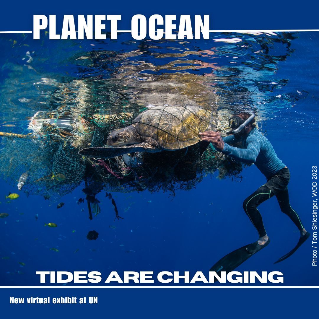 Take a look at our latest virtual exhibition #PlanetOcean and delve deeper into our connection with the ocean through the lens of global photographers. Join us as we shift the focus to prioritize our ocean: un.org/en/exhibits/ex… #UNexhibits