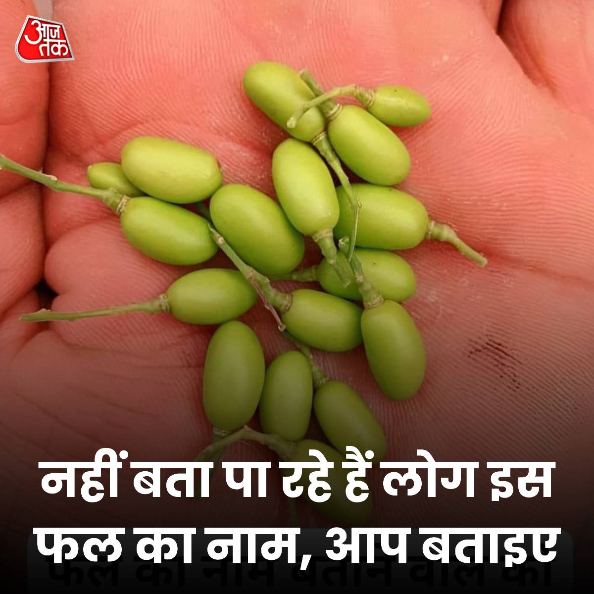 aajtak's tweet photo. नहीं बता पा रहे हैं लोग इस फल का नाम, आप बताइए 

#ATYourSpace #TalkToUs #Guessthis