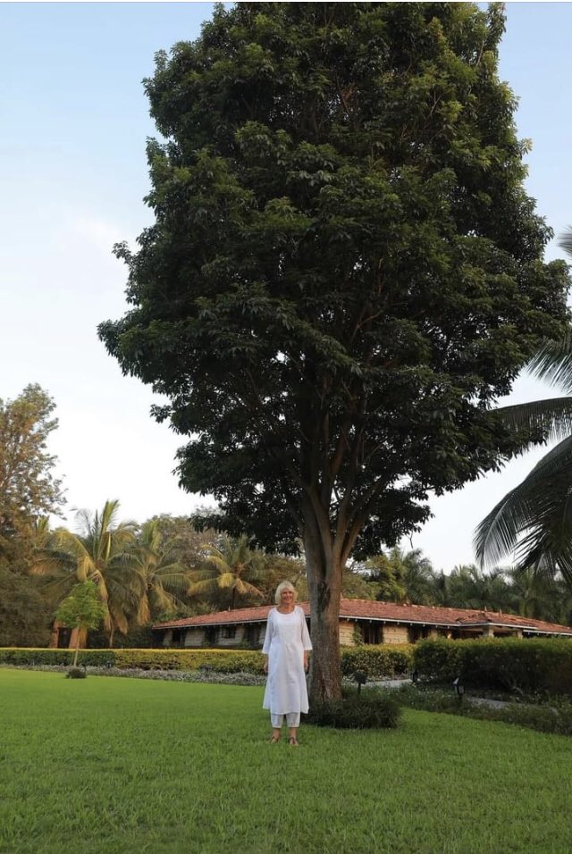 Shaz204727916's tweet photo. Queen Camilla standing under a
Tabebuia Rosea Tree which HM
planted herself .
The Royal Promise #PlantATreeDay https://t.co/kPQIde3NEl