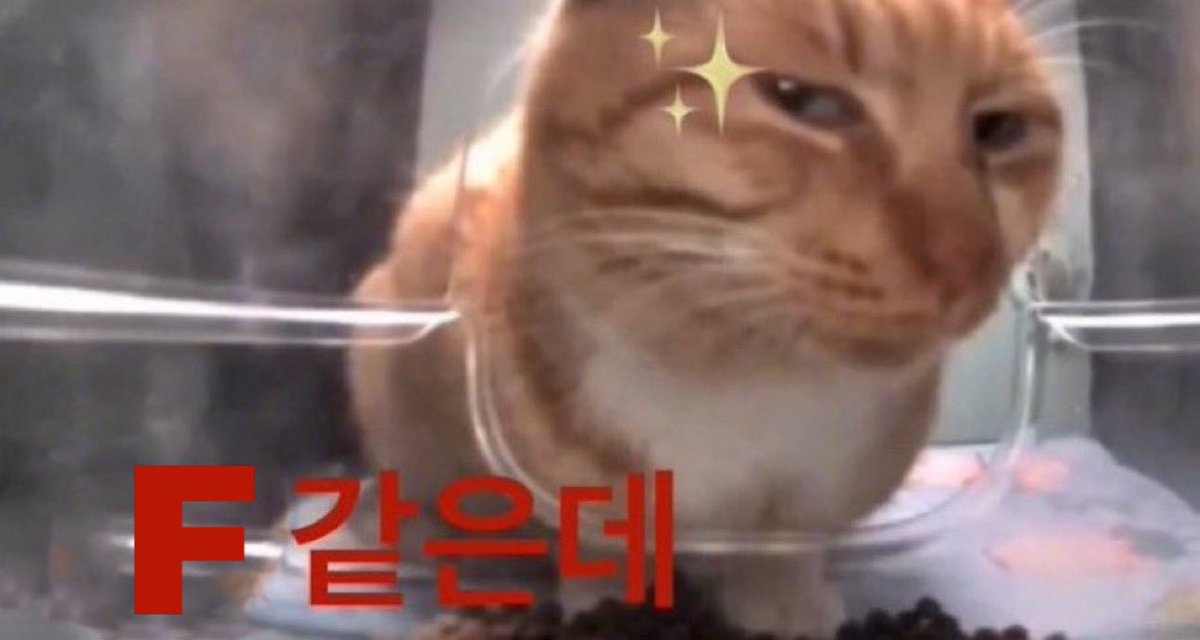 whydidux's tweet photo. F 같은데 (성적아님) https://t.co/jmTGAaNveZ