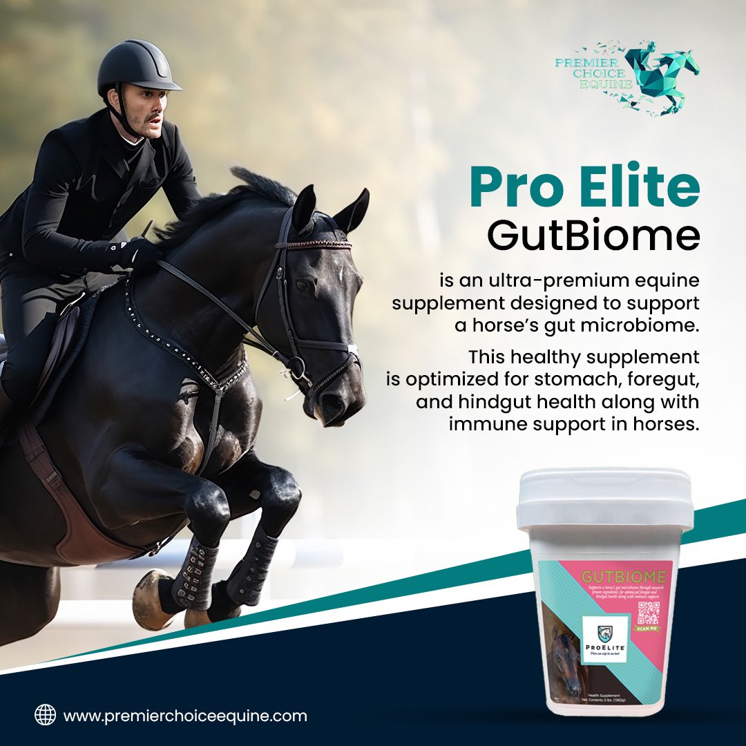 Premier Choice Equine tweet media