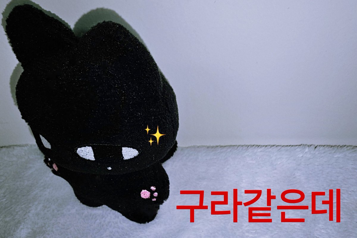 묘영이 tweet media