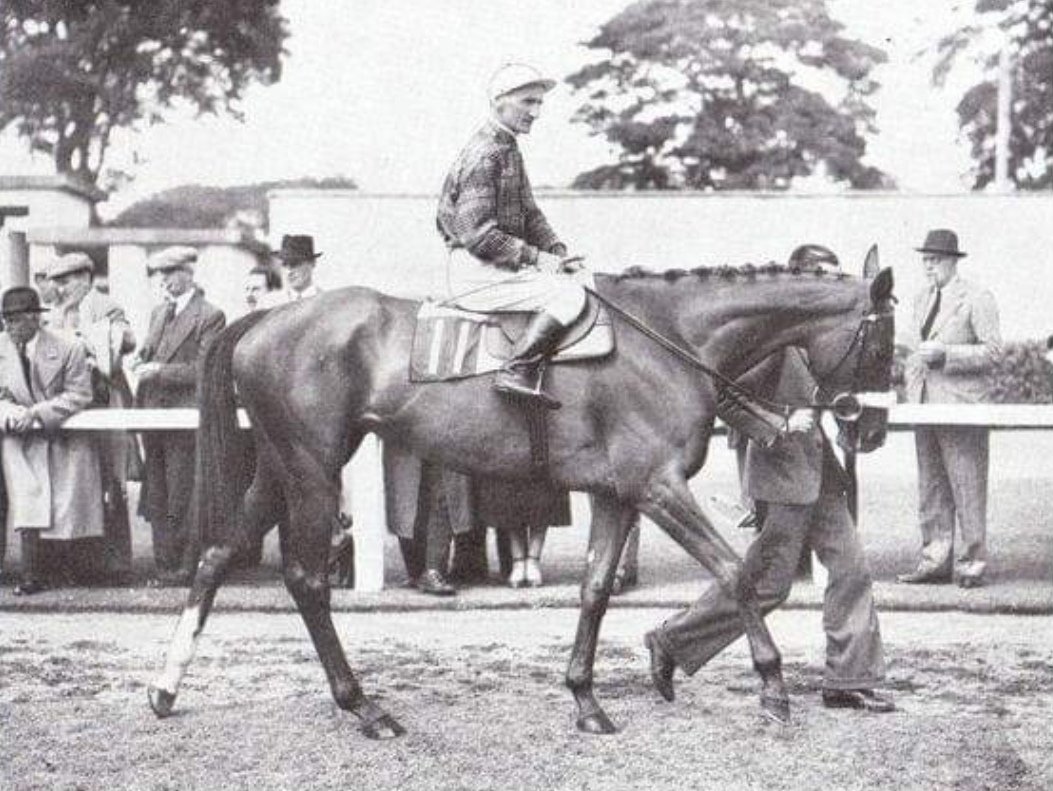 Pantomime Queen, trained by Hubert Hartigan, completed the Irish 1000 Guineas/Irish Oaks double in 1954. The filly is pictured being led in following her Oaks success with G Cooney up (Billy Nevett rode her to win the mile Classic).