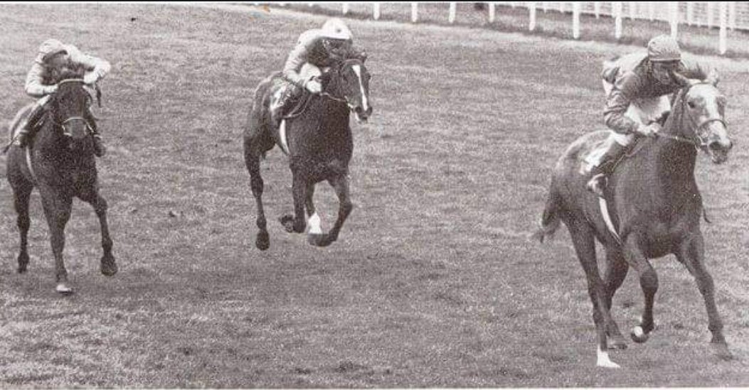 Lady Capulet (Tommy Murphy up) wins the 1977 Irish 1000 Guineas on her racecourse debut. The daughter of Sir Ivor was placed on her only other career starts in the Coronation Stakes and Pretty Polly Stakes. As a broodmare, Lady Capulet produced the influential sire, El Prado.