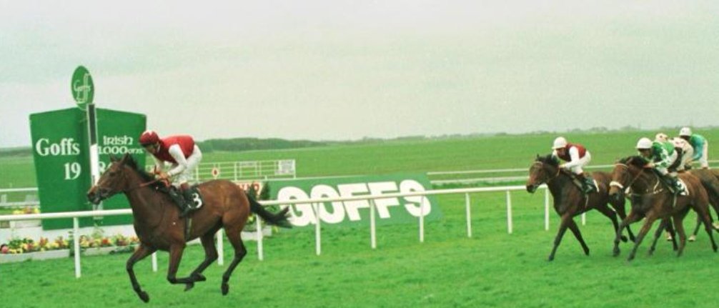 Beaten favourite for the 1000 Guineas at Newmarket, Sonic Lady rewarded favourite backers next time out with a smooth success in the Irish equivalent...it initiated a five race win streak (Coronation, Child, Sussex Stakes and Prix du Moulin), securing her champion miler honours.