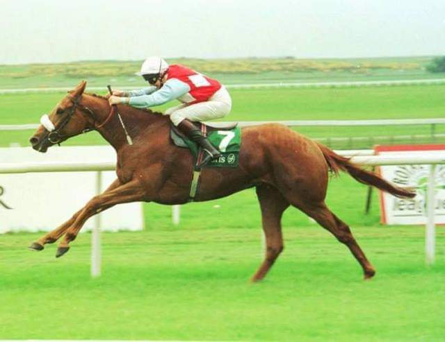 A two-length runner-up to Shadayid in the 1000 Guineas, Kooyonga recorded her first Group One win in the 1991 Irish 1000 Guineas. The following season, she became only the second filly, at that time, to win the Eclipse Stakes. Timeform Rating 125.