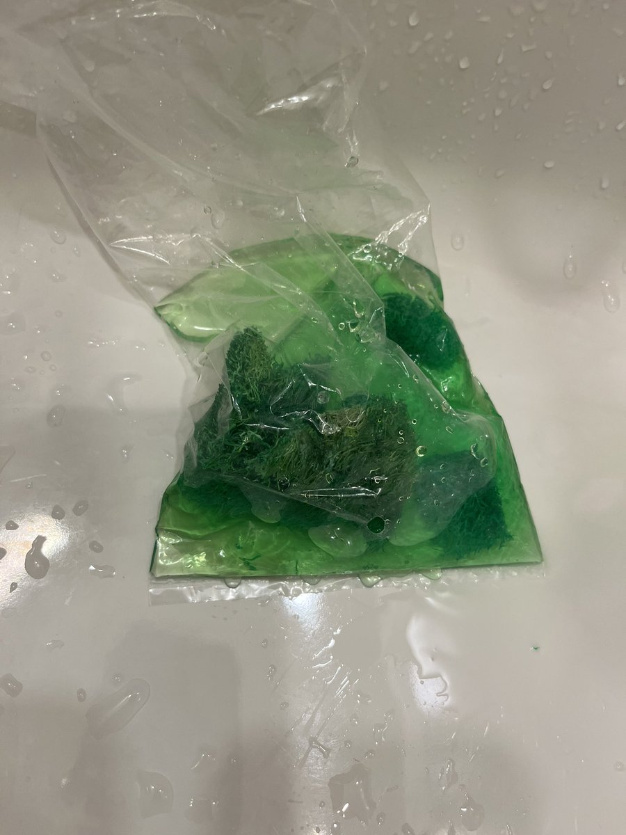 鳥飼いさんへ　サンコー(三晃商会)のおもちゃ　ナチュラルハンガーを鳥に与える時は、緑の部分を外して与えることをお勧めします！！！すごい色落ちするのよ。水入れただけでこんな色になる。これを鳥が舐めて良いわけがない。