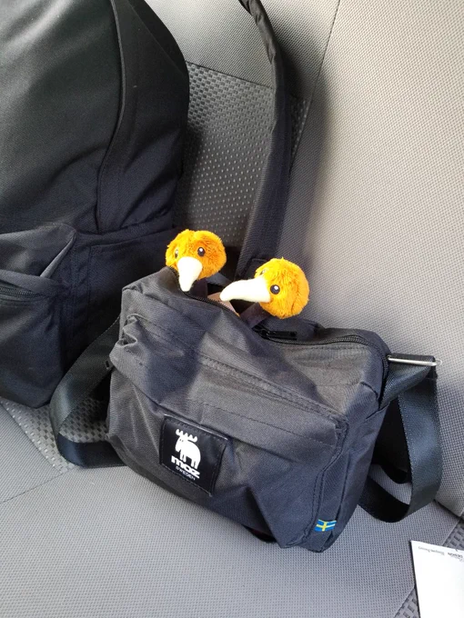 ポケモンと旅行行くの楽しすぎるからポケモンfitを企画してくれた人に感謝しかない