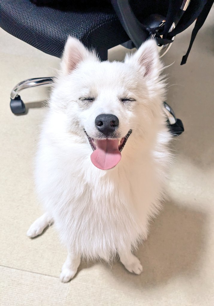 つめ店長(ひとつめ) (@hitotsume99) / Posts / X