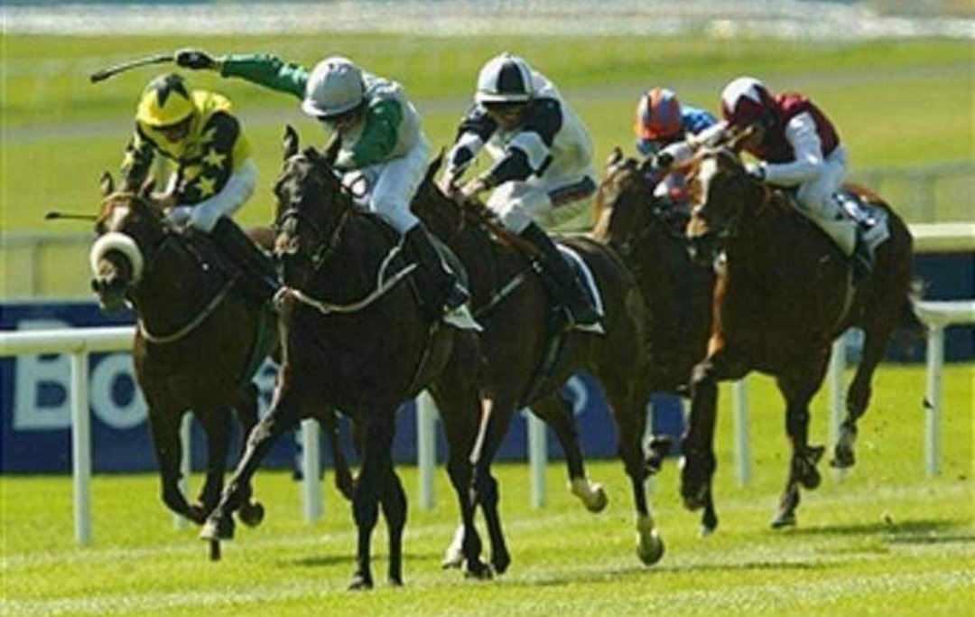 The leading juvenile filly in 2003, Attraction won the 1000 Guineas on her seasonal reappearance. Three weeks later, the daughter of Efisio secured the Guineas double at the Curragh defeating future five-time Group One winner Alexander Goldrun. Timeform Rating 125.