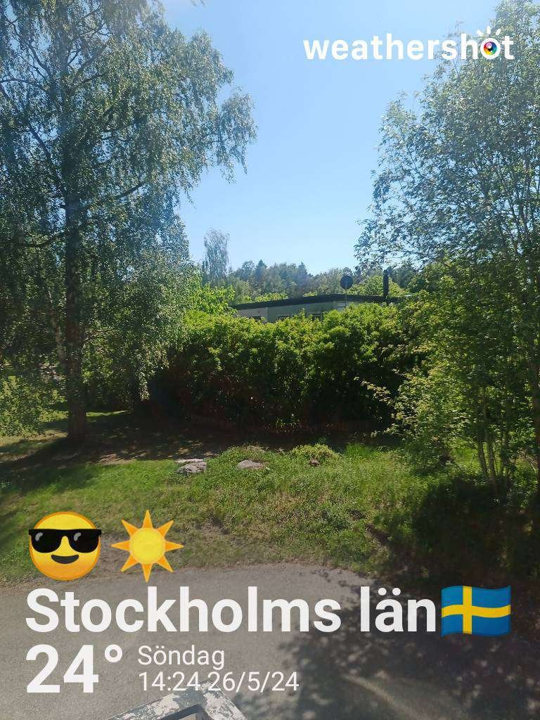 Another warm day with glorious sunshine😀☀️🏖️🇸🇪

#summer4evr #sunshine #sweden