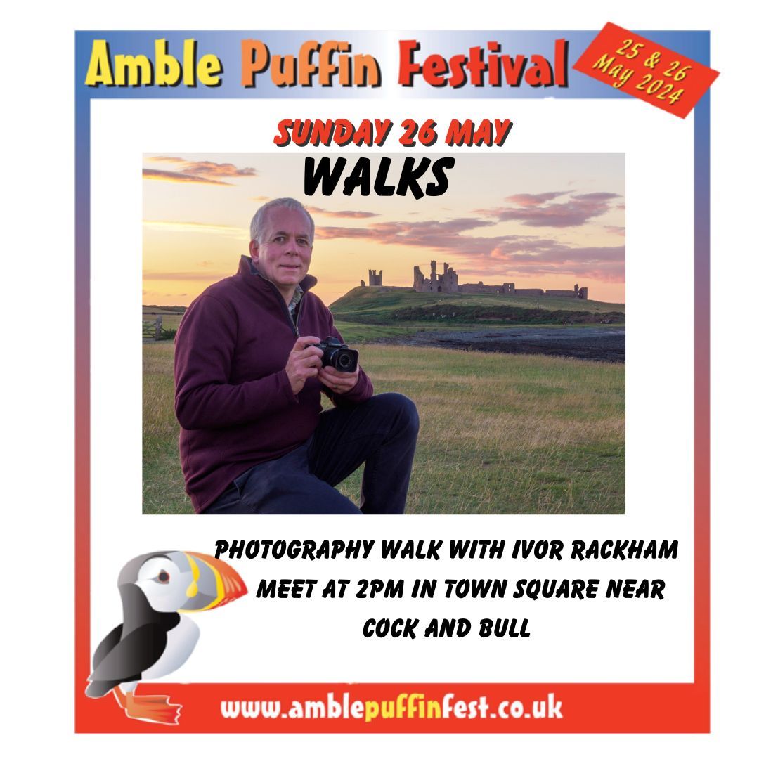 AmblePuffinFestival tweet media