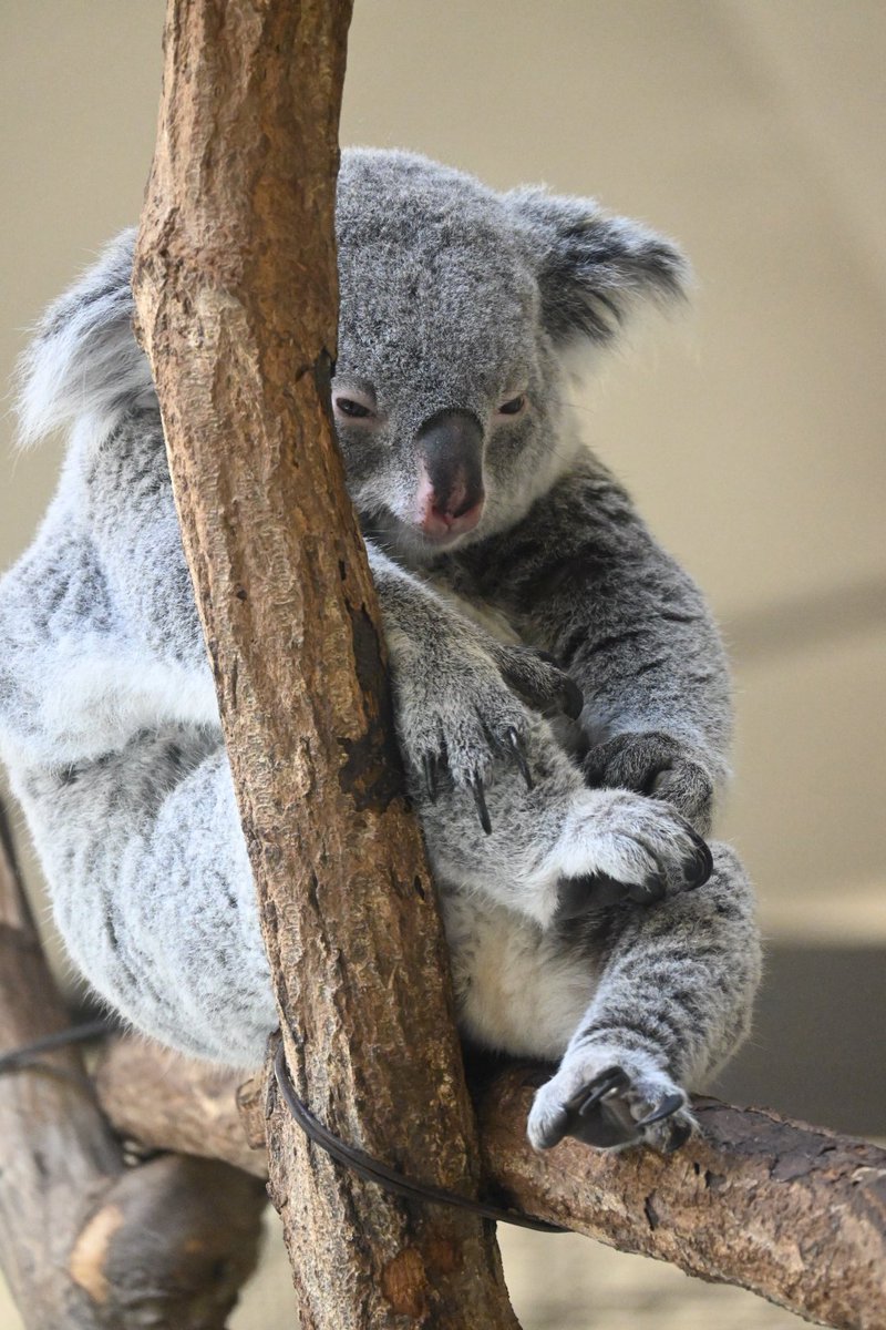 #絶対今日撮ってないって分かる写真をあげる見た人強制