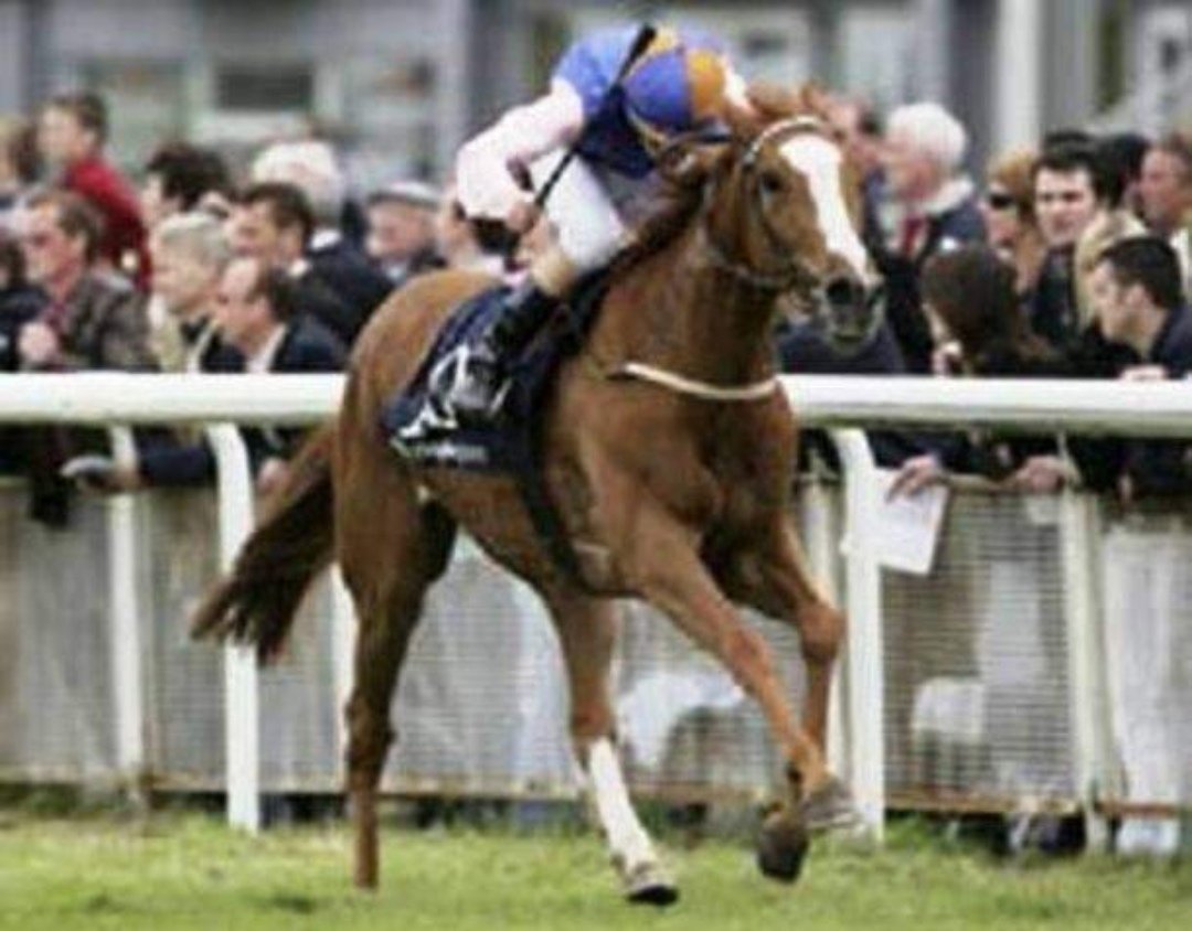 Nightime, trained by Dermot Weld and ridden by Pat Smullen, became the first Classic winner for her sire Galileo when bolting up by 6 Lengths in a heavy-ground renewal of the Irish 1000 Guineas in 2006...the filly never won again.