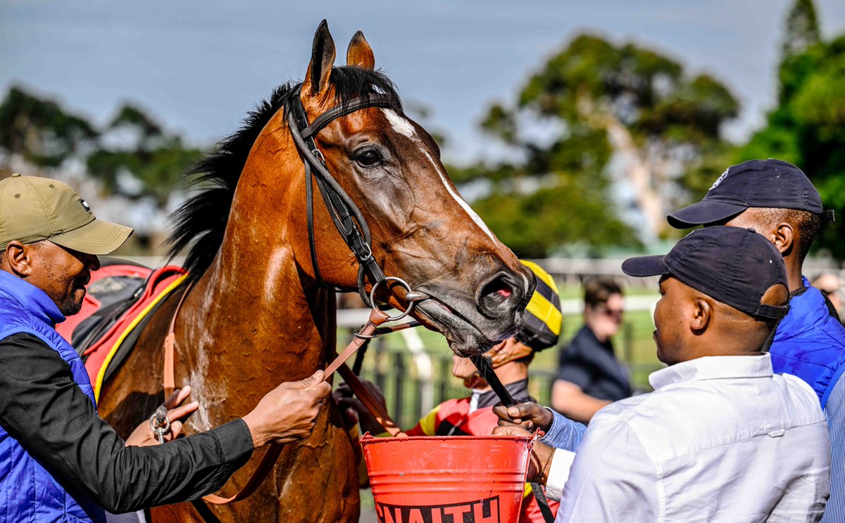 RaceCoastZA's tweet photo. Win 312 for Richard Fourie as he gets INNAMORARE to the line to win the Cape Turf Club Syndicates Cape B Stakes.

Congratulations to the winning connections.
 
#CapeRacing #DestinationCapeRacing 
@SnaithRacing @MaineChanceFarm @JustinVermaakCR @davidmusikanth https://t.co/Ch7VSZ5I2l