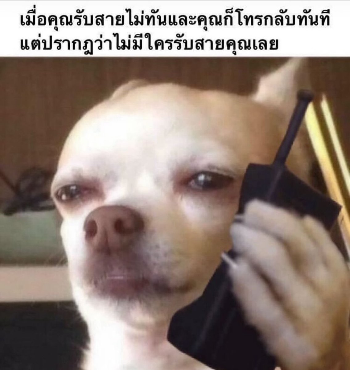 sutiฯ tweet media