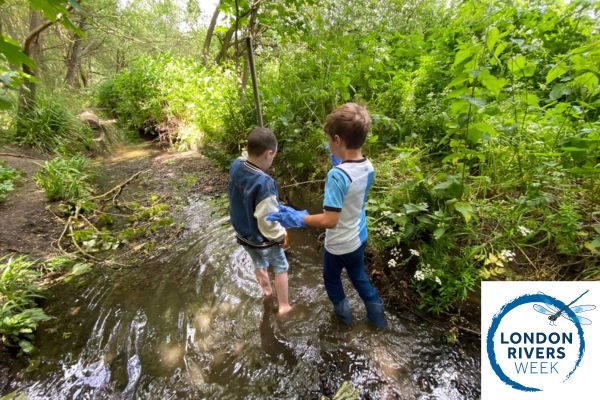 The Covid pandemic taught as the importance of being close to nature. Let's keep this going. Live in South London and want to explore your local river in more depth? Join us as we take a walk along Chinbrook Meadows. 📆 Sat 22nd June. 11am-2pm. Register: book.plinth.org.uk/e/2SIuAwyGlF1e…