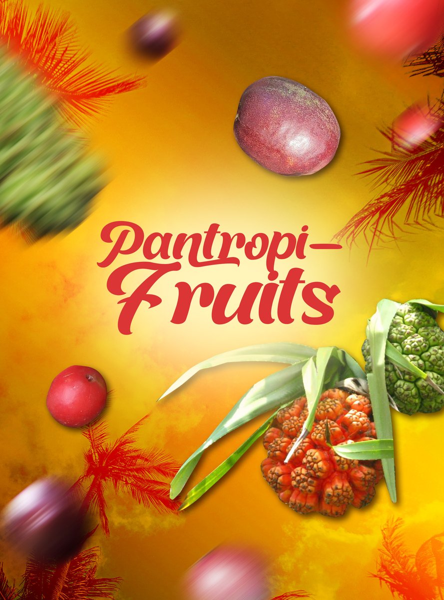 NOW AIRING: PANTROPI-FRUITS #KMJS