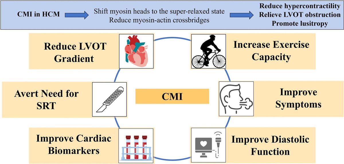 🔴The Revolution of Cardiac Myosin Inhibitors in Patients With Hypertrophic Cardiomyopathy #2024Review ✅onlinecjc.ca/article/S0828-… #medtwitterWhat #MedTwitter #CardioEd #medx #medEd #CardioTwitter #cardiotwitter #MedX #MedEd #cardiology #cardiotwiteros #FOAMed #medicine