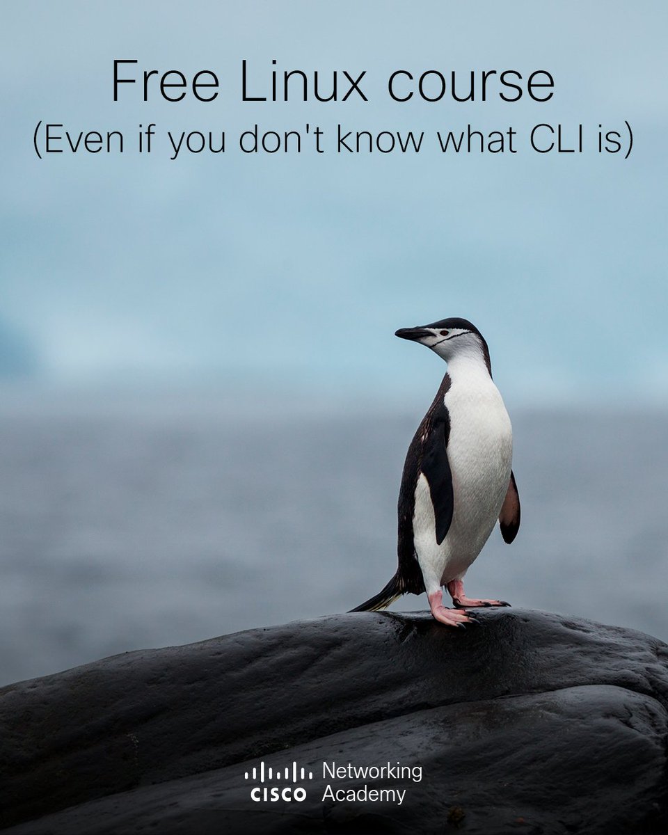 Those who have completed this short, self-taught course understand whether or not #Linux is for them. 🐧 Add it to your NetAcad catalog: cs.co/6011eyG4B