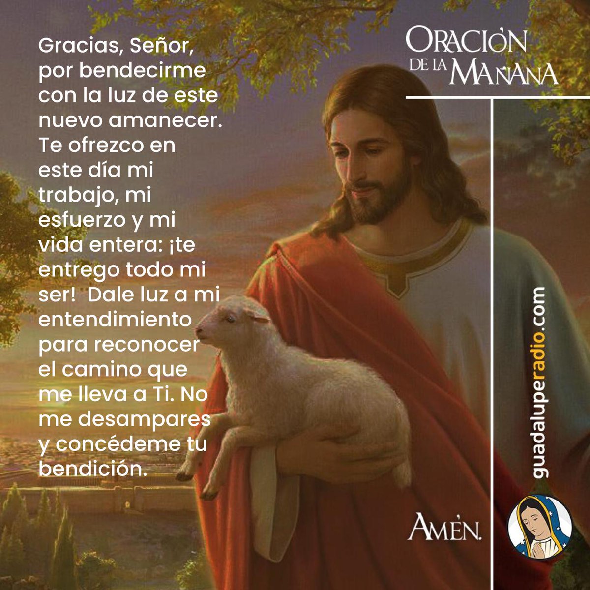 Gracias, Señor, por bendecirme con la luz de este nuevo amanecer.
#OracionMañana
#GuadalupeRadio