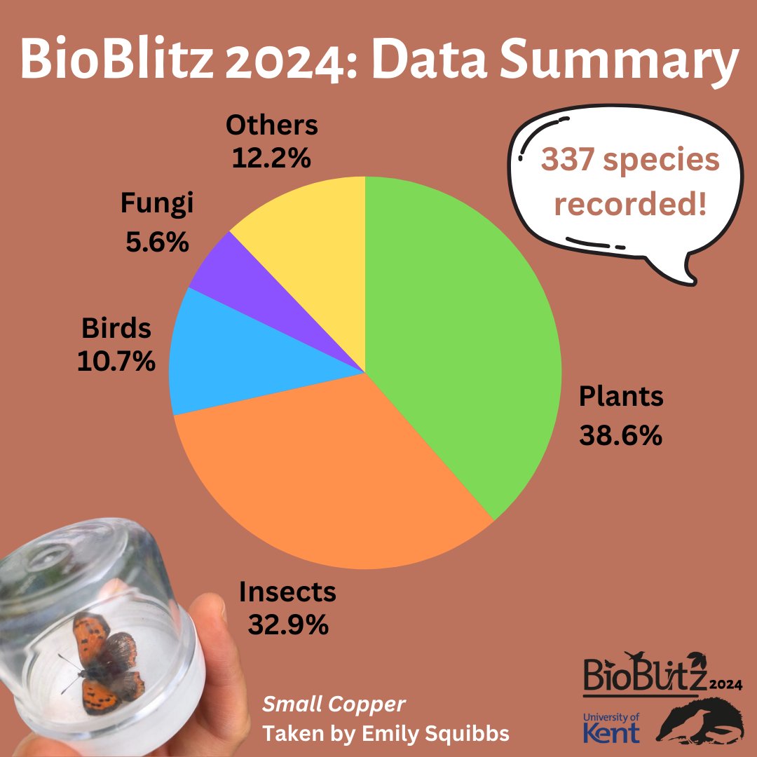 A big thank you to everyone who came to our BioBlitz on the <a href="/UniKent/">University of Kent</a> campus last week! We recorded a whopping 337 species, beating our record from last year. Here's a breakdown of the data.