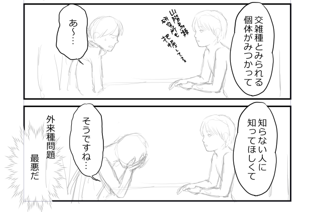 ラフのままずっと手つかずで放置しているけれど…↓ 
