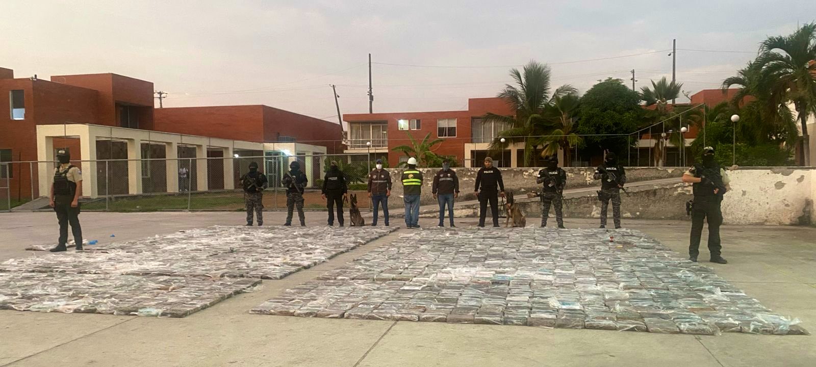La Policía evitó el envío de 2.497 paquetes con sustancias sujetas a fiscalización