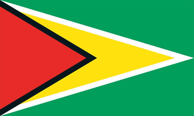 Happy #IndependenceDay Guyana! Learn more about #Guyana and the #Commonwealth 👉: bit.ly/3V6owCp