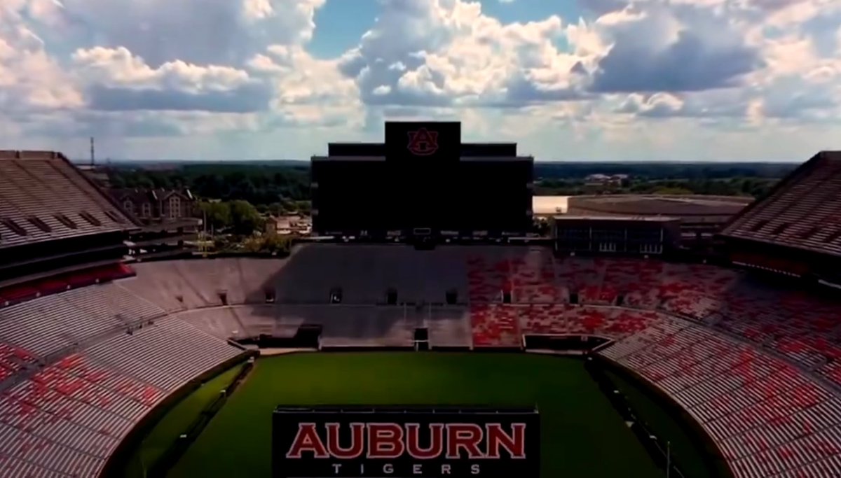 AUFAMILY tweet media