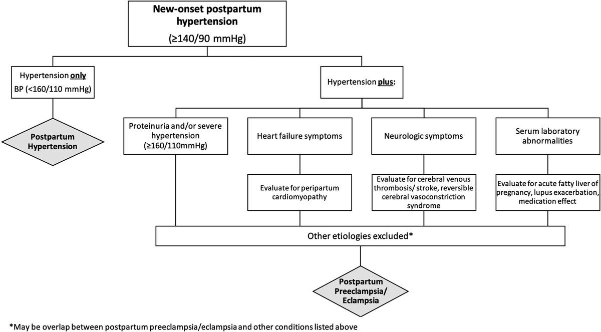 🔴Postpartum preeclampsia or eclampsia: defining its place and management among the hypertensive disorders of pregnancy #OpenAccess #Review ✅ajog.org/article/S0002-… #medtwitterWhat #MedTwitter #CardioEd #medx #medEd #CardioTwitter #cardiotwitter #MedX #MedEd #cardiology