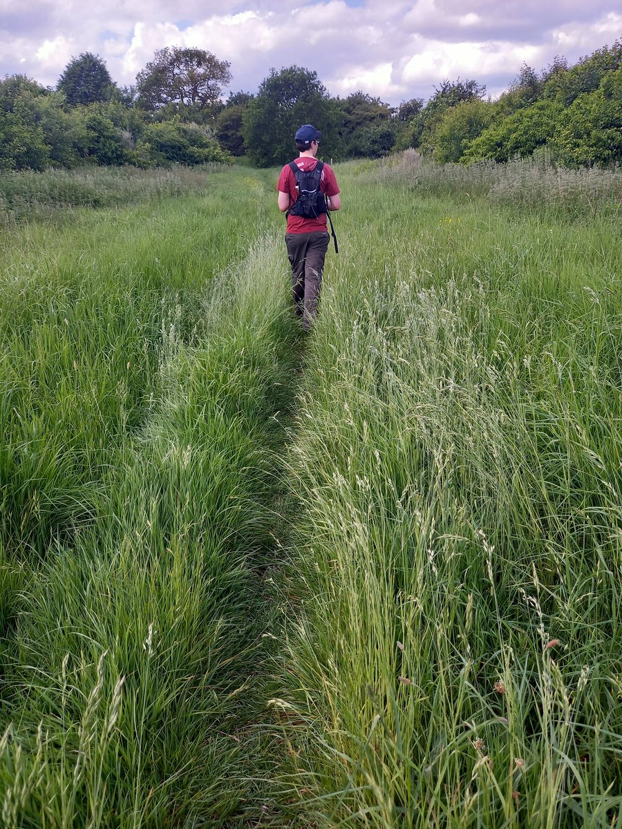 An idyllic #SlowWays Harsta1 between Harpenden and St Albans. Watermill, Cathederal, wildlife, plantlife and beautiful riverside paths. Sill muddy in places but drying out. Quite charming.