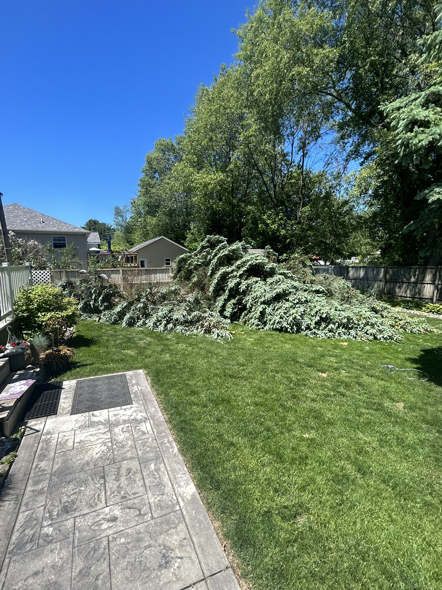 MGoBlue_Gage's tweet photo. Dropping trees #UtilityGuy https://t.co/Re5vQHUMYa