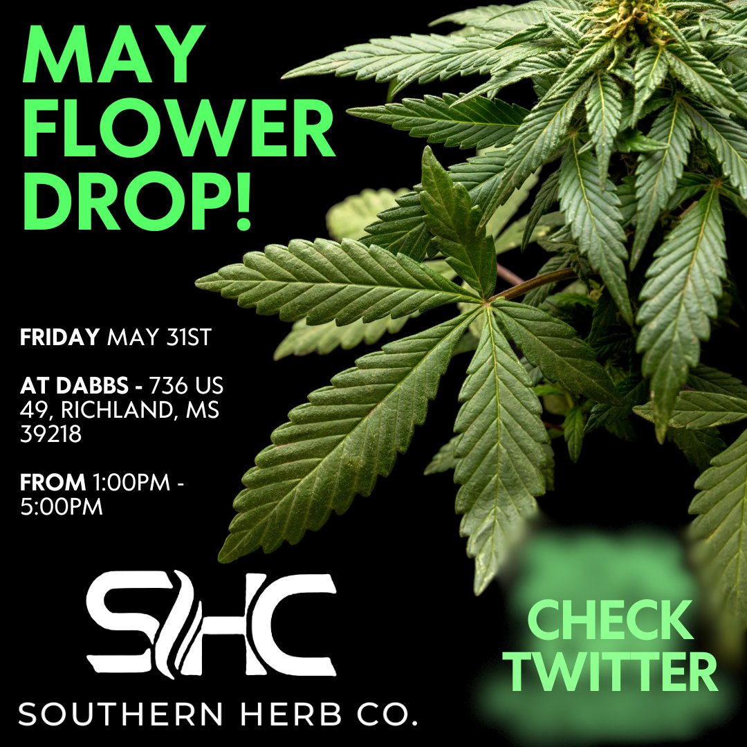dabbsdispoms's tweet image. Spring into action with our May Flower Drop! 🌼 Come join us for some fun! 🌿 

#flowerdrop #springvibes #communityevent #naturelovers #localfun #markyourcalendar #richlandms #southernhospitality #fridayfun #greenthumb