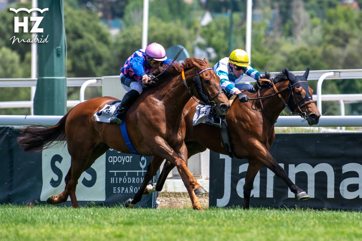 Hipódromo de La Zarzuela (@hipodromomadrid) on Twitter photo 🥇De punta a punta, Faith Rose se impone en el Nertal con el objetivo puesto en el Carudel.
🥇War Of Dance se despega en el Teresa y pone rumbo al Gran Premio de Madrid.
😍🏇Ambientazo en <a href="/HipodromoMadrid/">Hipódromo de La Zarzuela</a>, lleno de gente joven, aficionados y familias.
Resultados de las carreras 🥇De punta a punta, Faith Rose se impone en el Nertal con el objetivo puesto en el Carudel.
🥇War Of Dance se despega en el Teresa y pone rumbo al Gran Premio de Madrid.
😍🏇Ambientazo en <a href="/HipodromoMadrid/">Hipódromo de La Zarzuela</a>, lleno de gente joven, aficionados y familias.
Resultados de las carreras