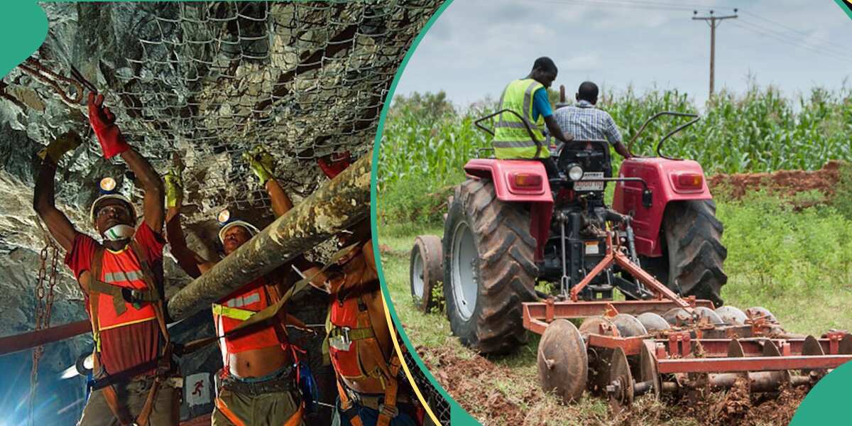GDP: Mining &amp; Quarrying, Agriculture Lead Top 10 Major Economic Sectors in Nigeria in Q1 2024 dlvr.it/T7QGhk