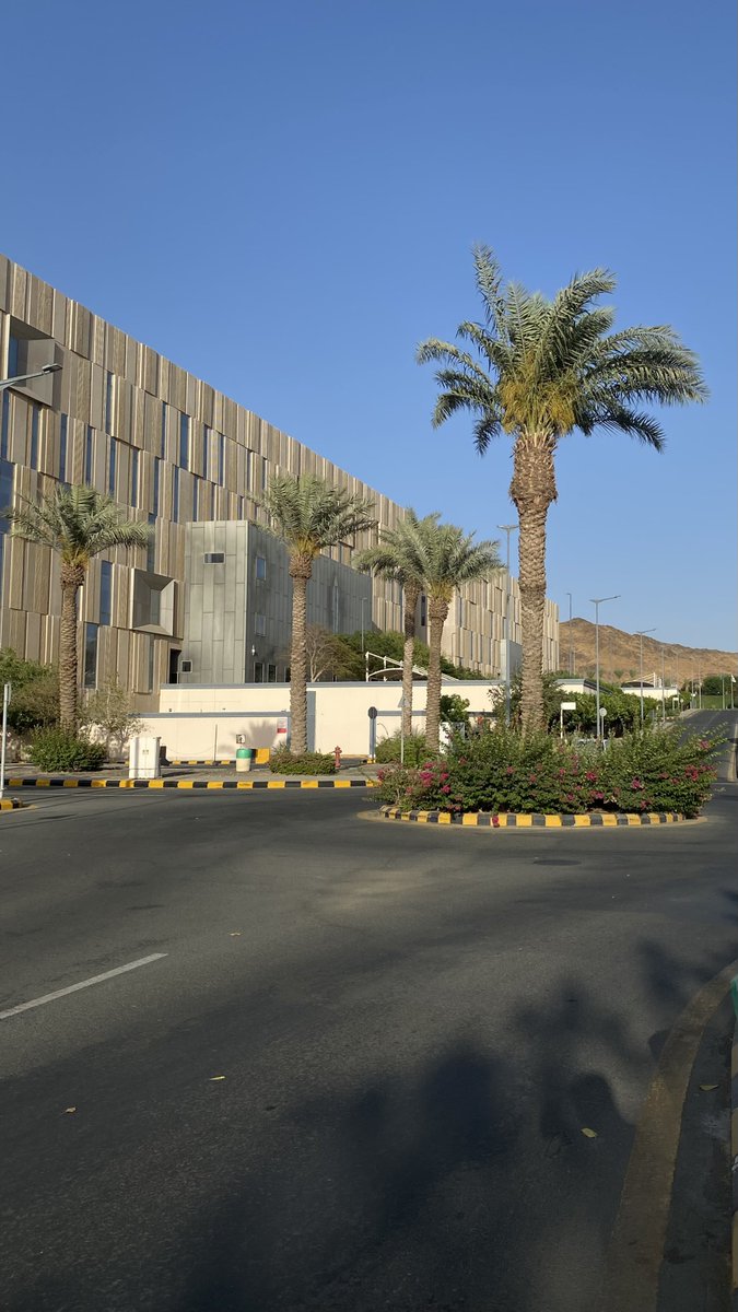 FINISHED 3rd year 🥱✅