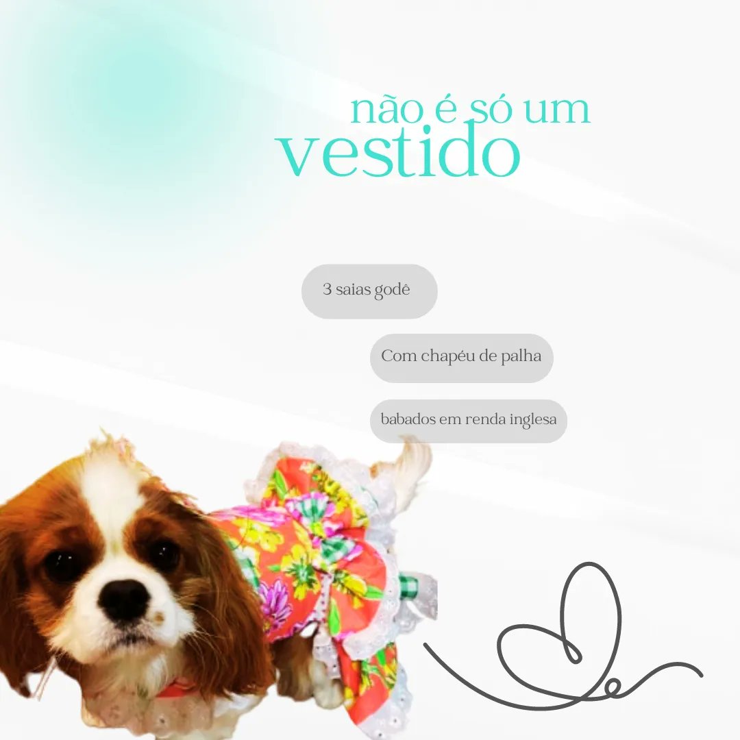 Arrase na festa junina com o vestido que vai fazer seu pet brilhar! 🎉🐾
 Puppy à Porter transforma moda pet em pura diversão junina👇
puppyaporter.com.br/vestido-festa-…