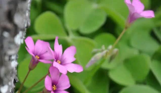 あなたは世界に1つのどんな姿をあげて、世界はあなたに1つのどんな人生を返して、笑って、あなたの人生は更にすばらしくなります。