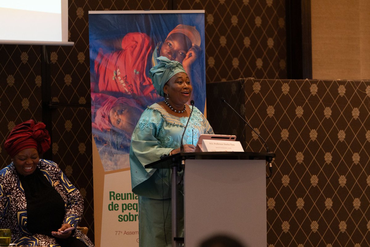 Today, on the sidelines of the #WHA77, the African Union, @EndMalaria, and @ALMA2030 held a briefing for Ministers of Health on malaria. African Ministers pledged to implement the Yaoundé Declaration, mobilizing resources to scale up malaria services and prevent deaths across.
