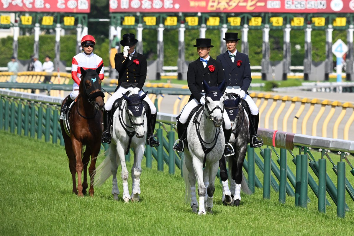 いいですか、落ち着いて聞いてください

一番左にいる馬は誘導馬ではなく今年のダービー馬です
#日本ダービー
＃ダノンデサイル