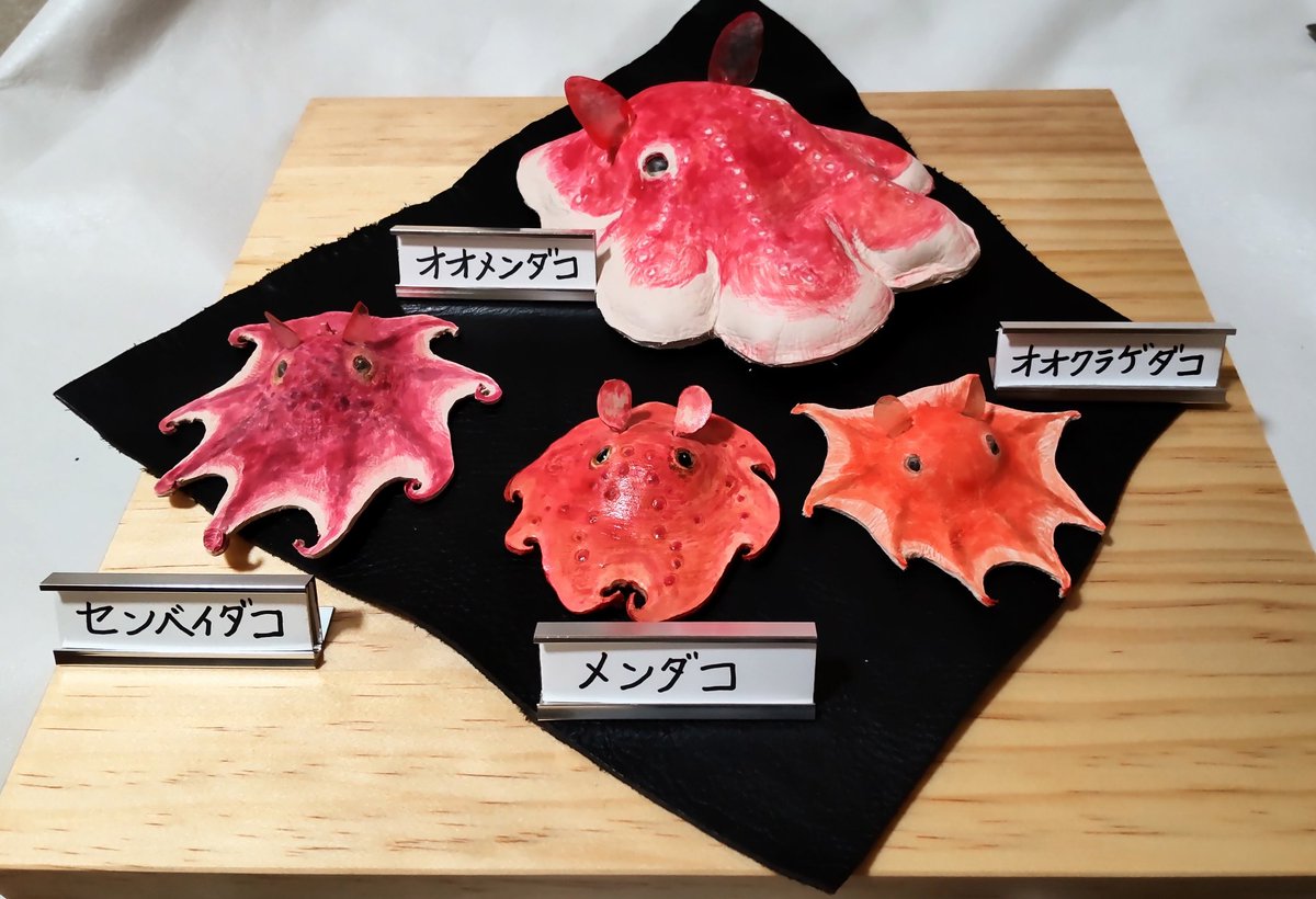 スゴイ！🐙🐙🐙🐙✨✨✨✨