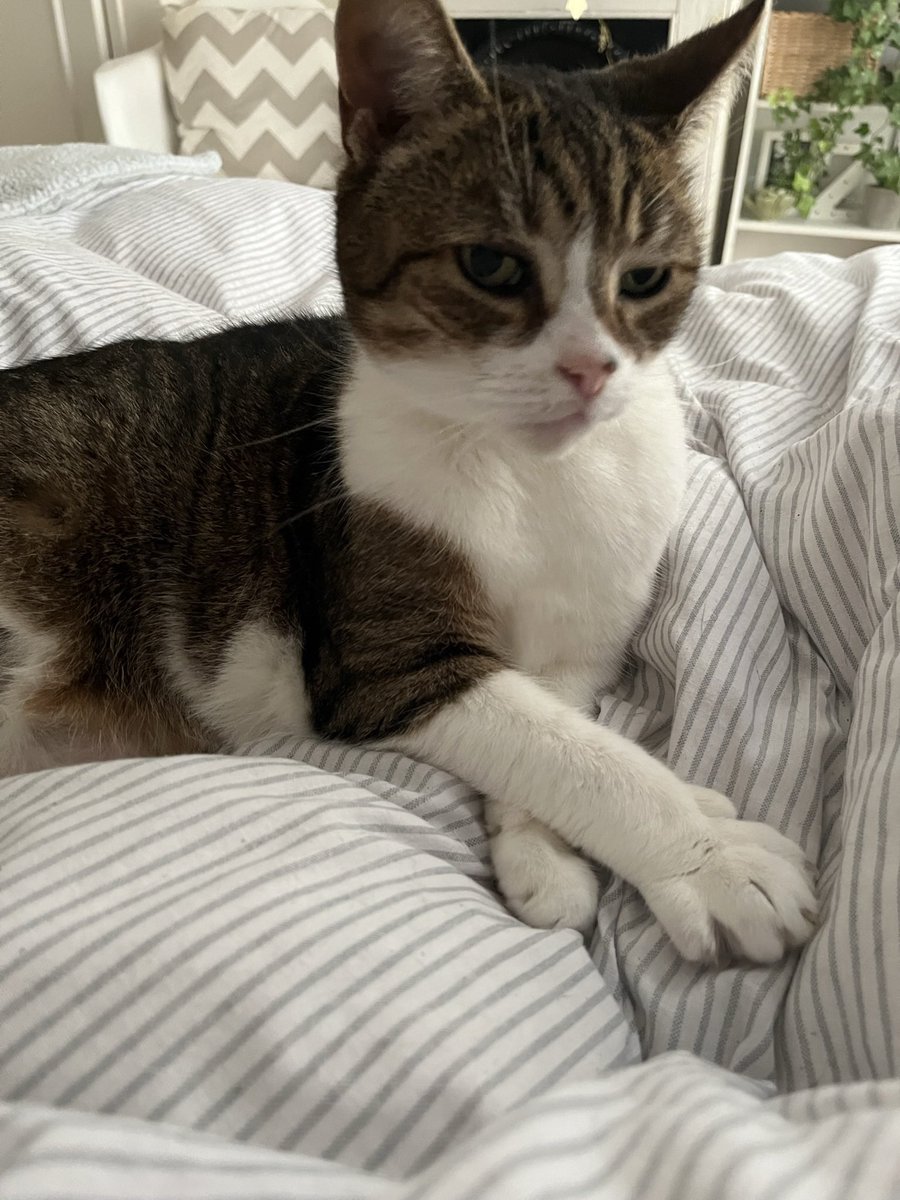 Zoe Berkeley RN 💙 tweet media