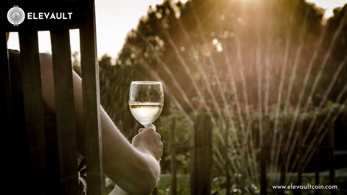 Elevault tweet media