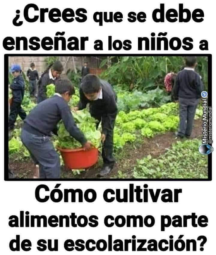 Despertemos Juntos!! tweet media