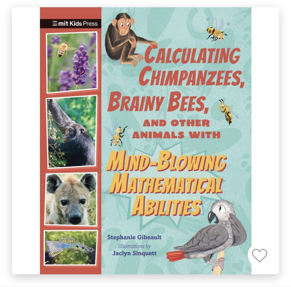 Can animals do #math?!? Friend, #CP, and #animalscientist @GibeaultWrites has a new release! Don’t miss this fascinating #nonfiction #middlegrade full of amazing #mathematical animal facts and illustrated by Jaclyn Sinquett from @MITKidsPress.