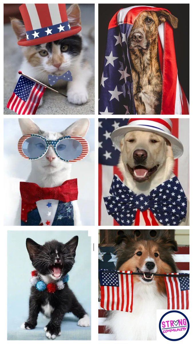 Our winners for this Memorial Day are the cutest we have seen yet!! 
Thank you #strongers for sharing your pictures•woof woof meow🇺🇸
