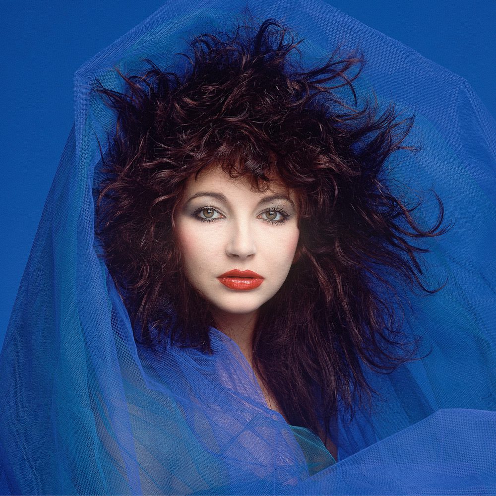 I just want to do a @KateBushMusic dump/guide for any new fans/existing... ilovebabybushka.com katebushtribute.com momentsofpleasure.co.uk thekatebushexperience.co.uk withoutkatebush.com @SLYtheatremaker + @withoutkatebush...